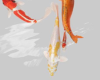 《鬼灭之刃：火神血风谭》PS5版2VS2实机演示